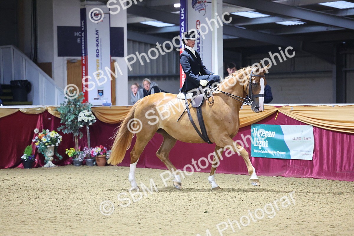 0B8A4234 - Class L Side Saddle Champ