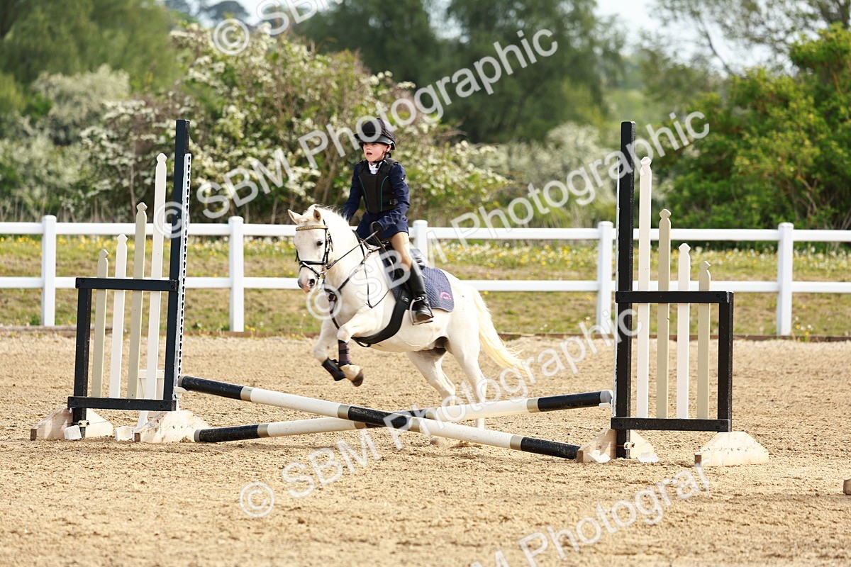 SBM_006562 - Class 1 - 40cm