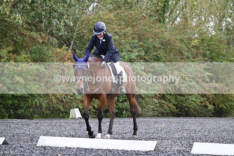 WJ7_6510 - Time 14:49 to 15:14