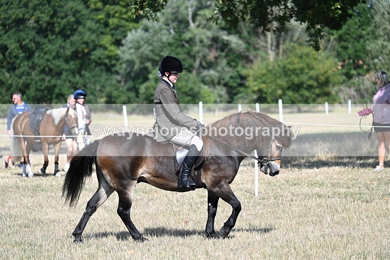 WJ7_2899 - Class 8 Ridden Tack & Turnout