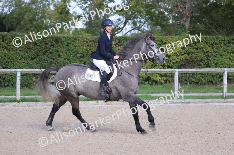 20251005-0645 - Class 5 - 80cm