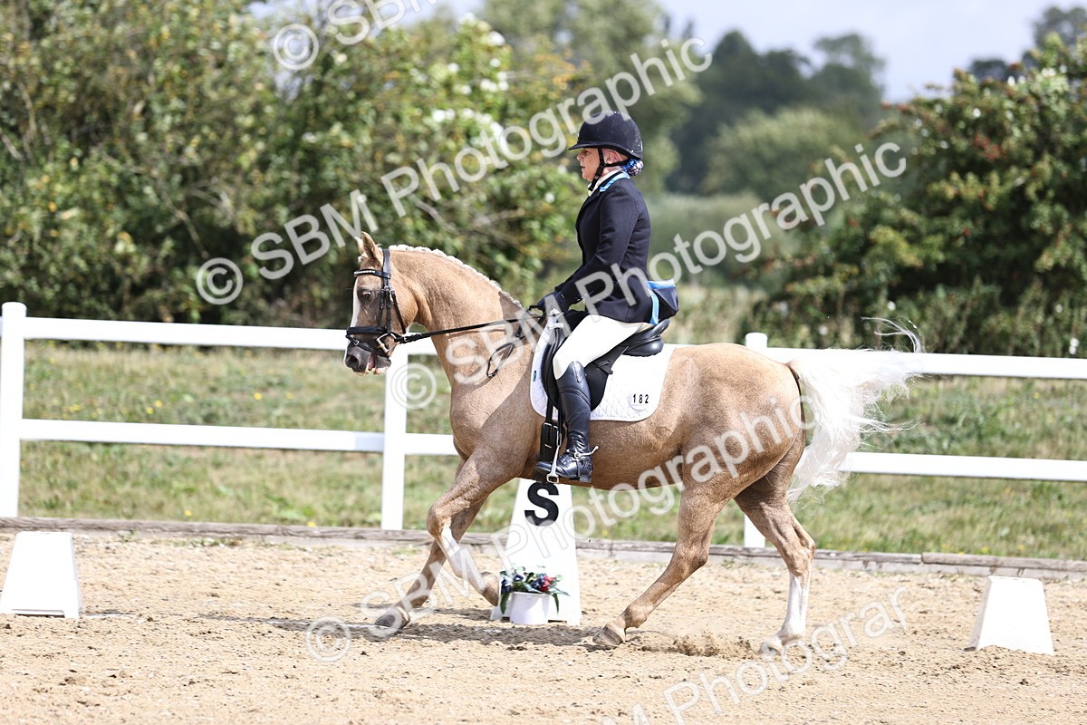 SBM_016195 - Class 14 - Novice 23 - 10.29-11.32