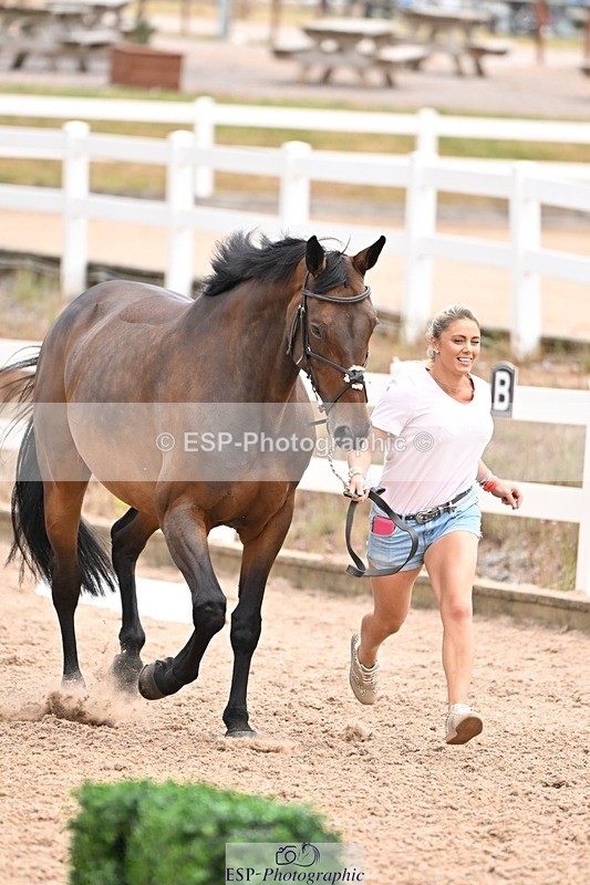 250716-143938-01273 - Trot Up 2.30 to 3.30