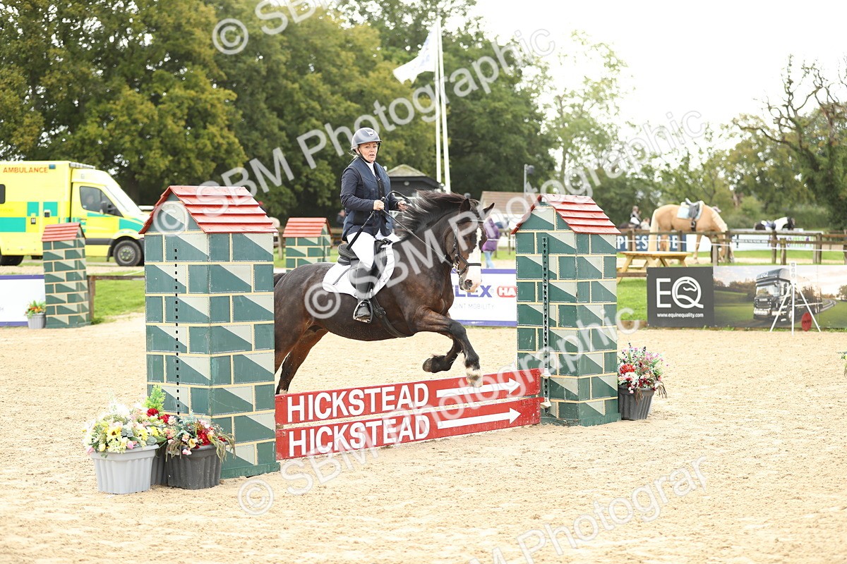 SBM_02006 - J34 - Veteran Rider 50cm