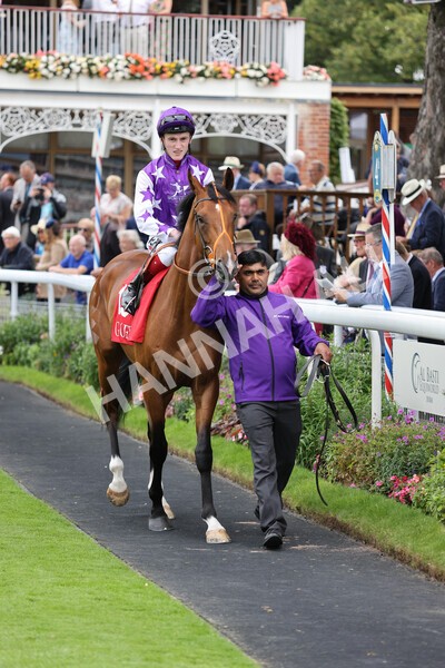 yr19082021r2-12 - Race 2 2.25pm Goffs UK Premier Yearling Stakes