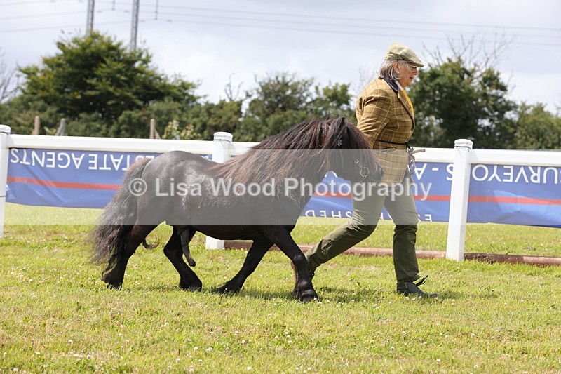 1X9A4757 - Class 35: Veteran In Hand