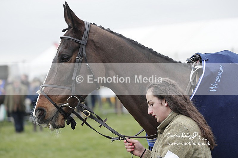 PtP 050323 370 - Blackmore & Sparkford Vale Hunt PtP - Somerset 05/03/23