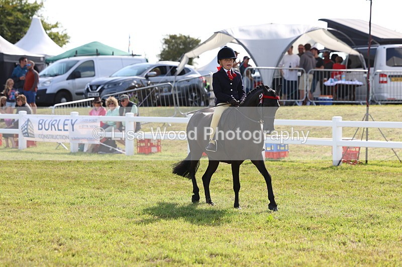 3E7A3981 - Supreme Championship