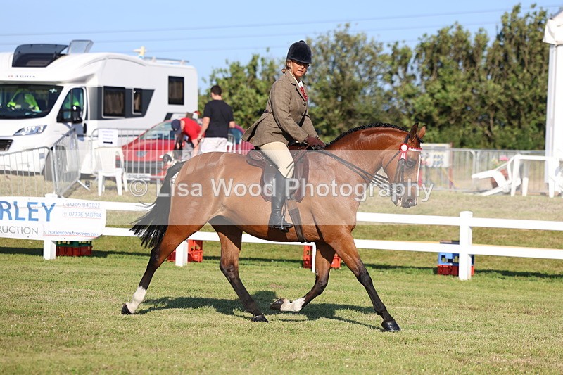 3E7A4923 - Class 1: Rising Star Small Hack/Riding Horses