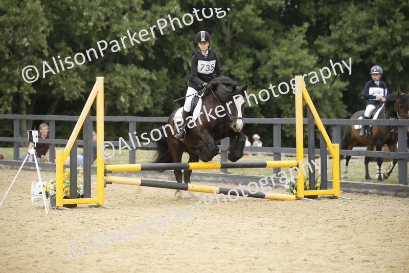 20250622-6083 - 60cm