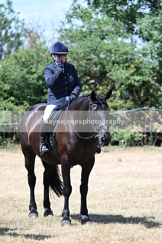 WJ7_3152 - Class 7 Riding Club Show Horse