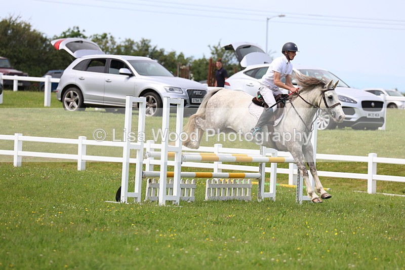 3E7A1648 - Class 13: Senior British Novice/90cm open
