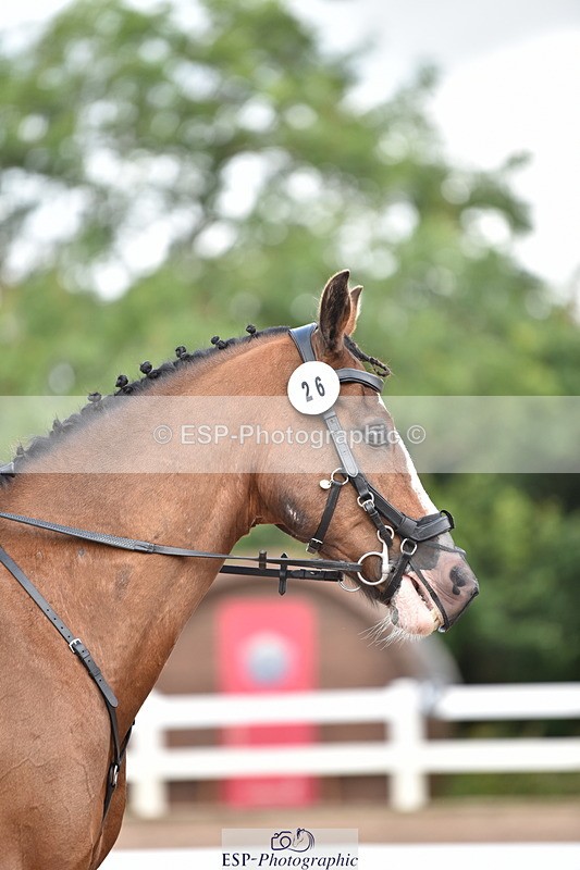 240706A-114550-01191 - Cls 3B Jnr Prelim 13