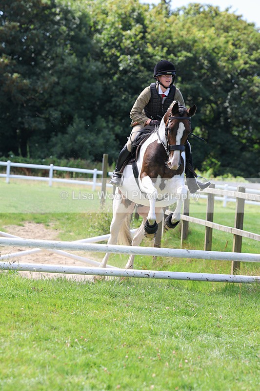 3E7A8611 - Class 5: Working Show Horse