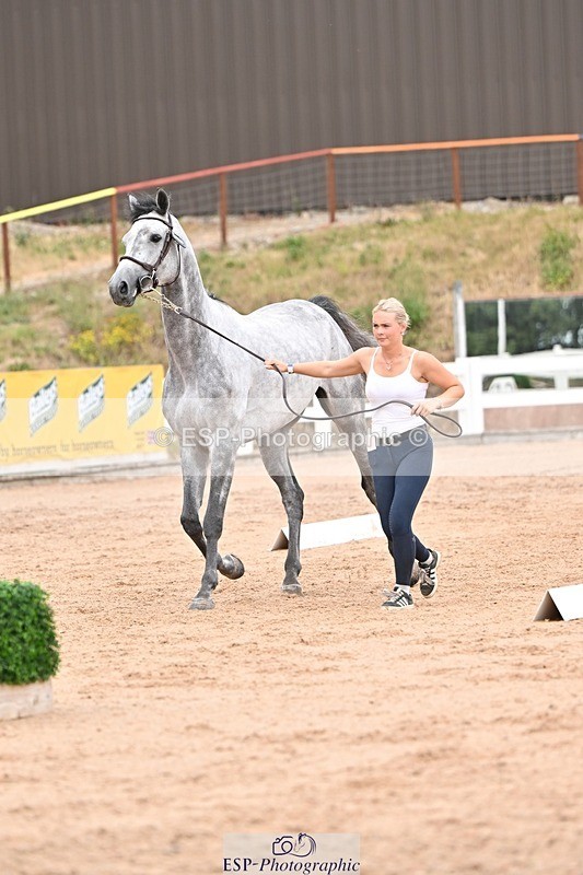 250716-155253-02253 - Trot Up 3.30 to 4.30