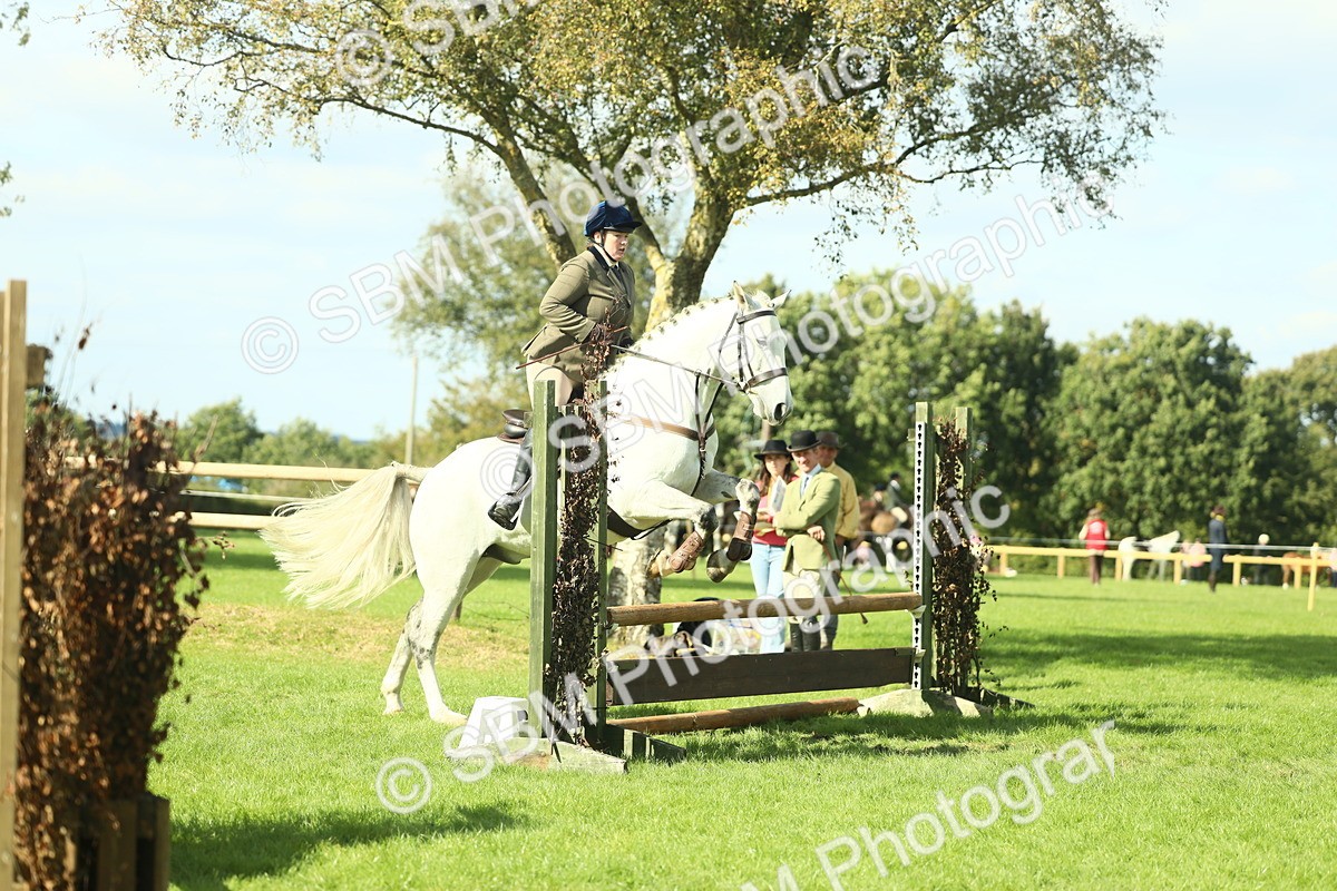 SBM_48063 - S32 - Novice & Newcomers Working Hunter