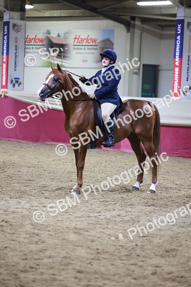 SBM_21298 - Class S - Style & Performance Champ