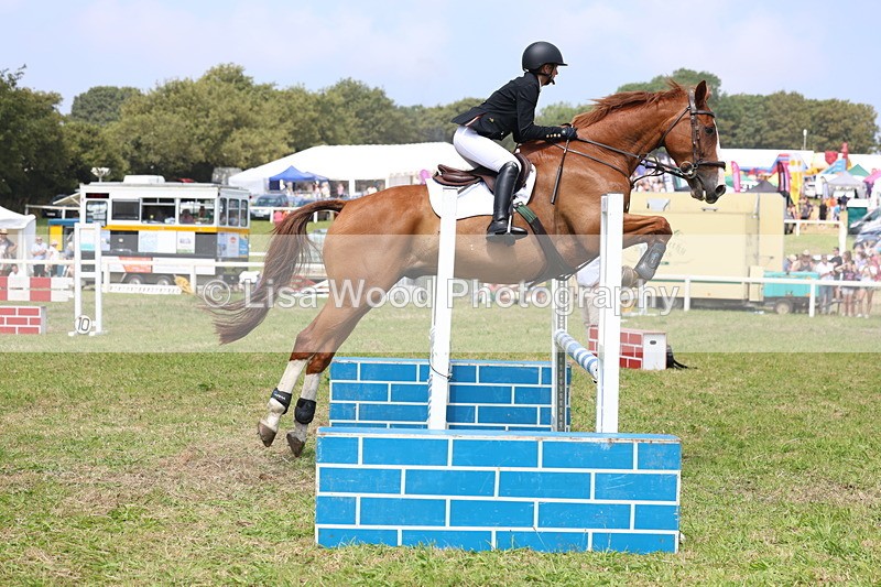 3E7A3012 - Class 7: Senior British Novice/90cm open