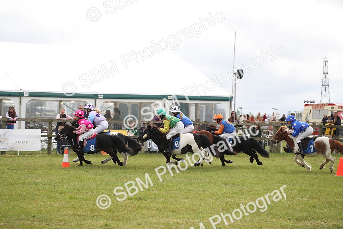 SBM_09987 - Dinky Derby