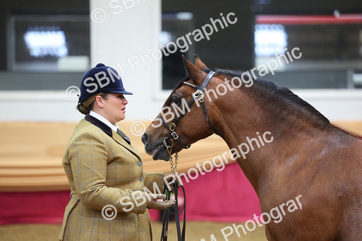 SBM_22767 - Class 903 - Supreme Final - IH Pre Vet