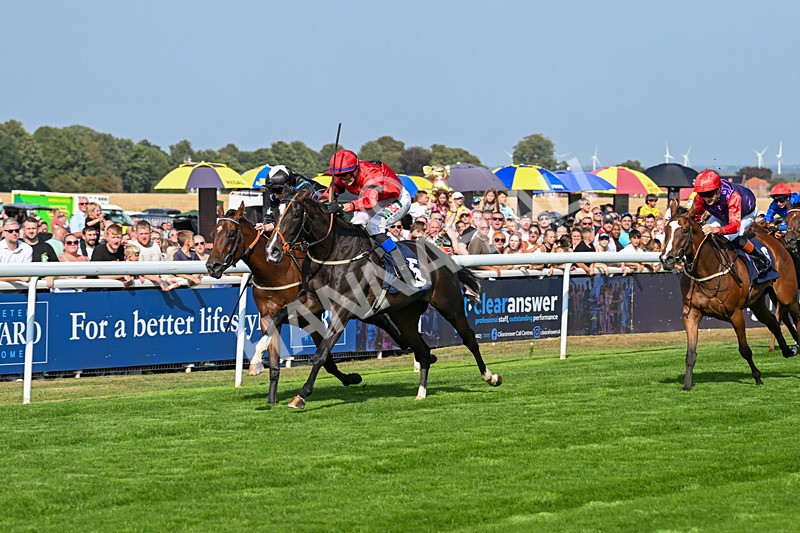 240825-Race 4-Lady Hornblower-2988 - Race 4