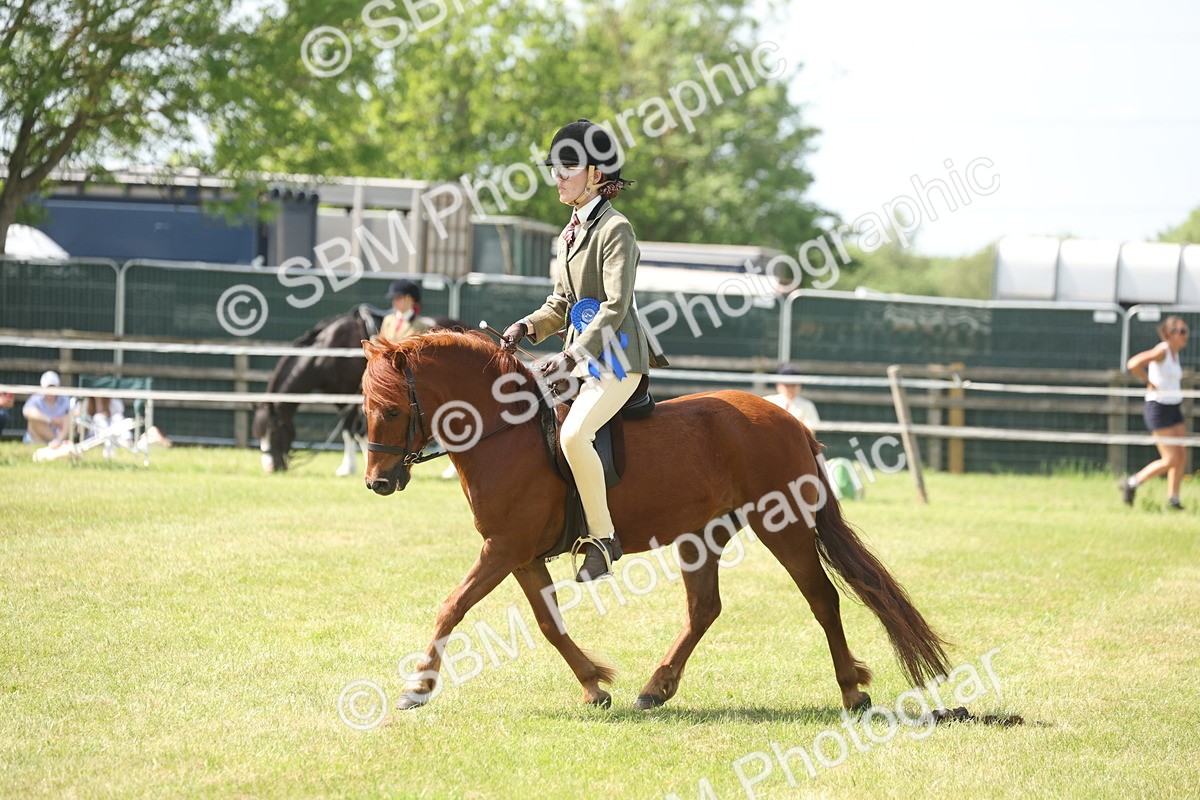 SBM_07695 - Class 26-30 - Mountain and Moorland Ridden