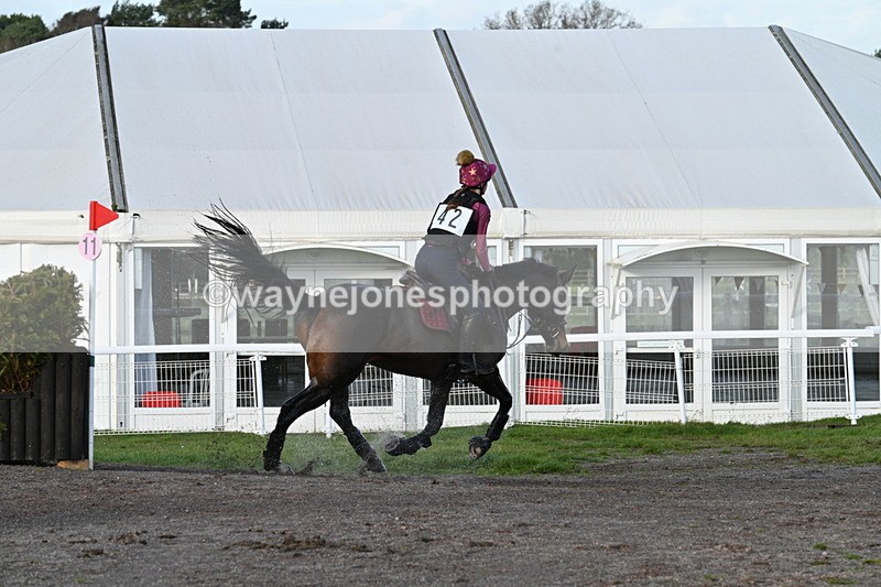 WJ7_9411 - Time 11:18 to 11:27