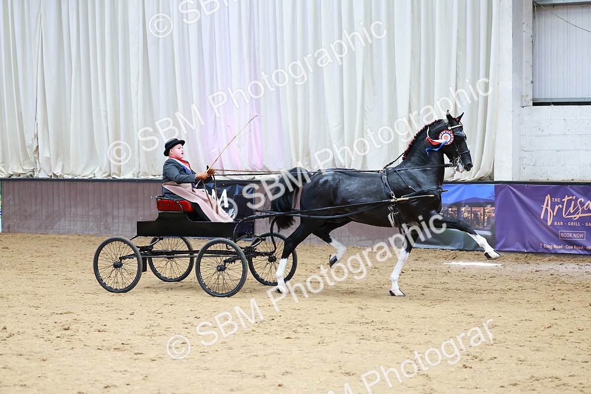 SBM_001025 - Class 13  - HHS Championship Intl Hackney Horse to a Show Wagon