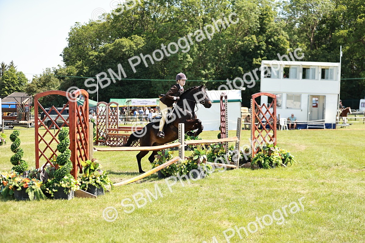 SBM_17643 - Class 112-113 - BSPS LIHS Working Sports Pony