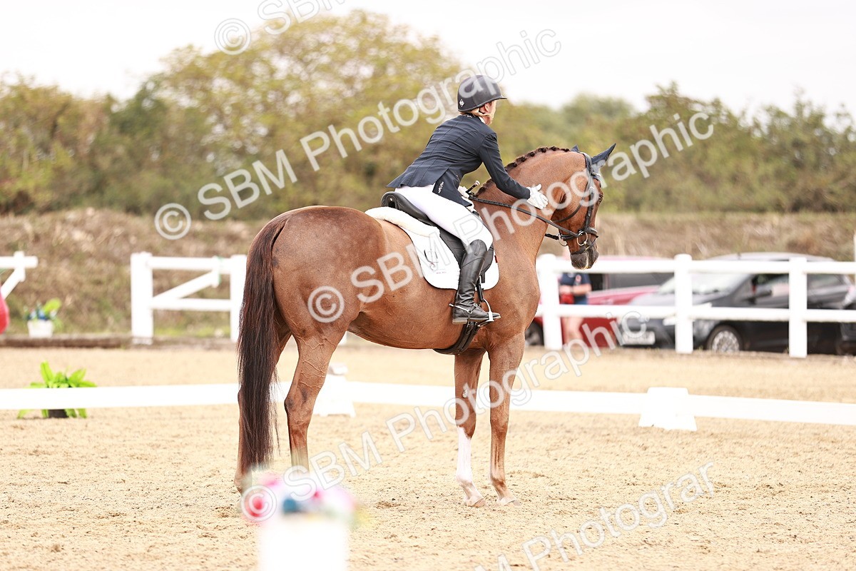 SBM_019281 - Class 20 - Medium 5