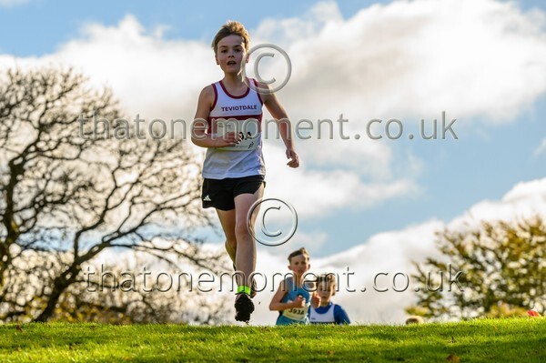 NatRel25-914311 - Young Male Set One