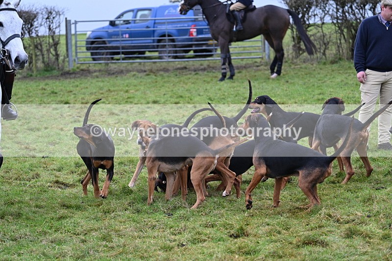 WJ7_6458 - Meet 12.30