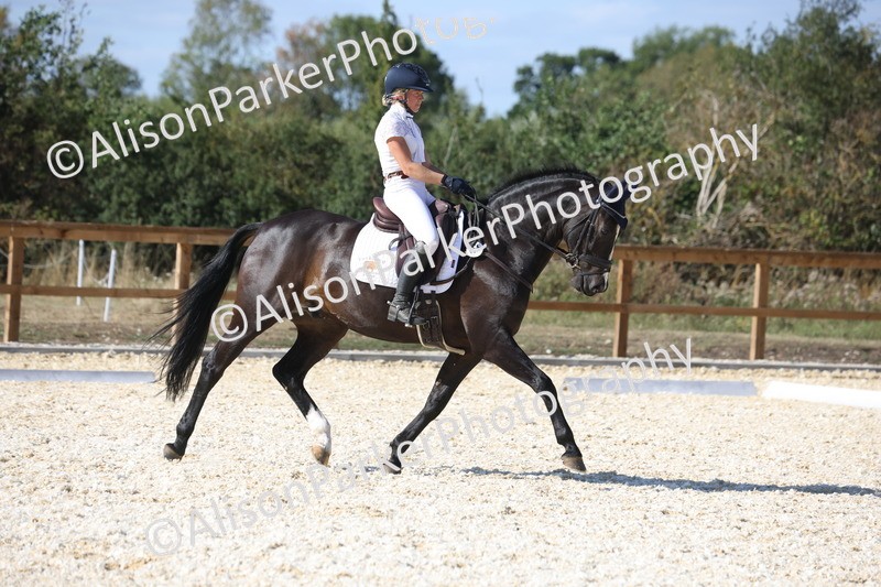 20260905-1634 - Class 5 - Novice 2