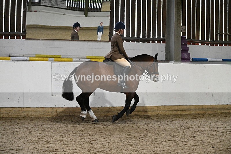 WJ7_3846 - Class 17 Ridden Cob