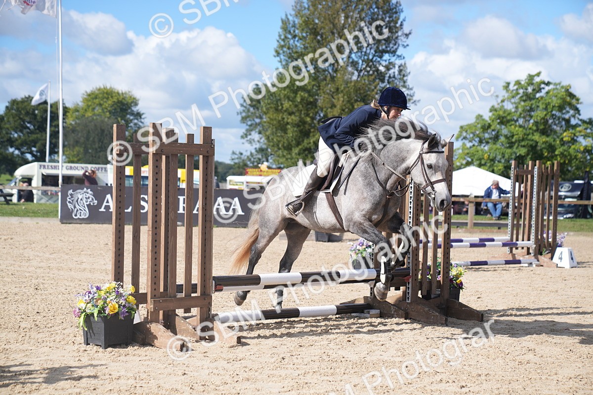 SBM_02517 - J54 Clear Round 45cm