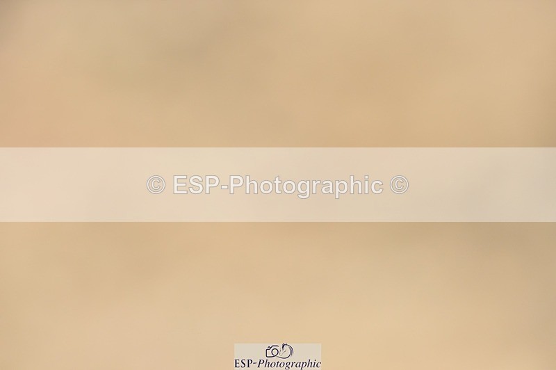 250622-151354-16331 - Cls 59 FEI PSG Inc Presentations