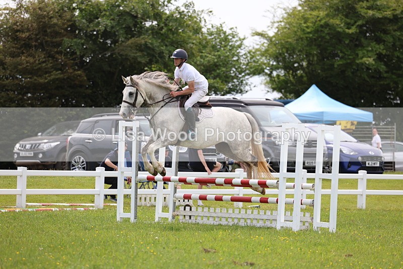 3E7A1639 - Class 13: Senior British Novice/90cm open