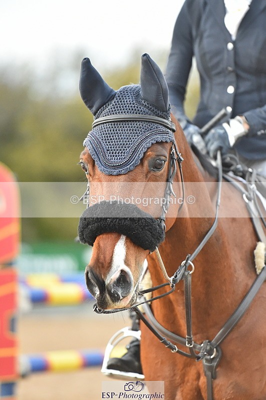 231111A-133932-02141 - Cls 13 Foxhunter