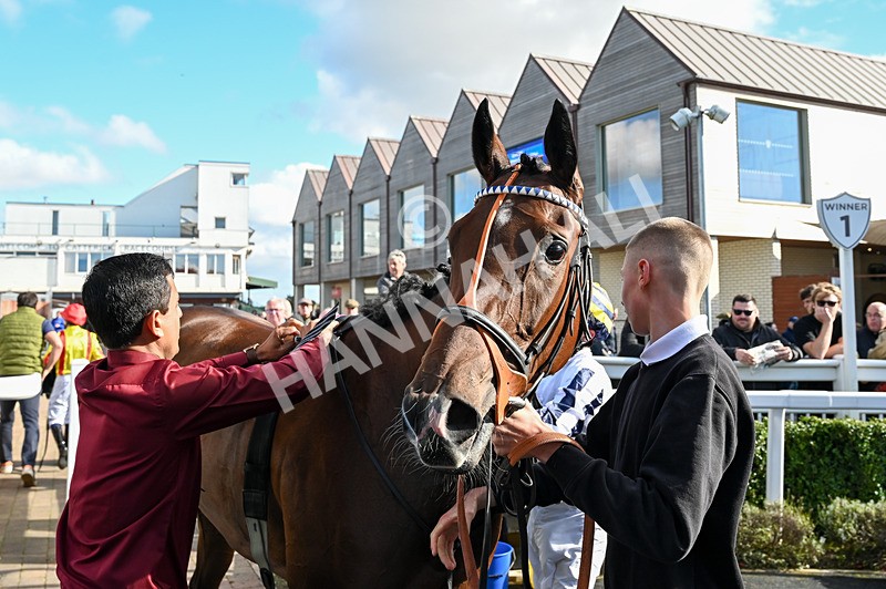 100924-Race 4-Scarboroughwarning-4464 - Race 4