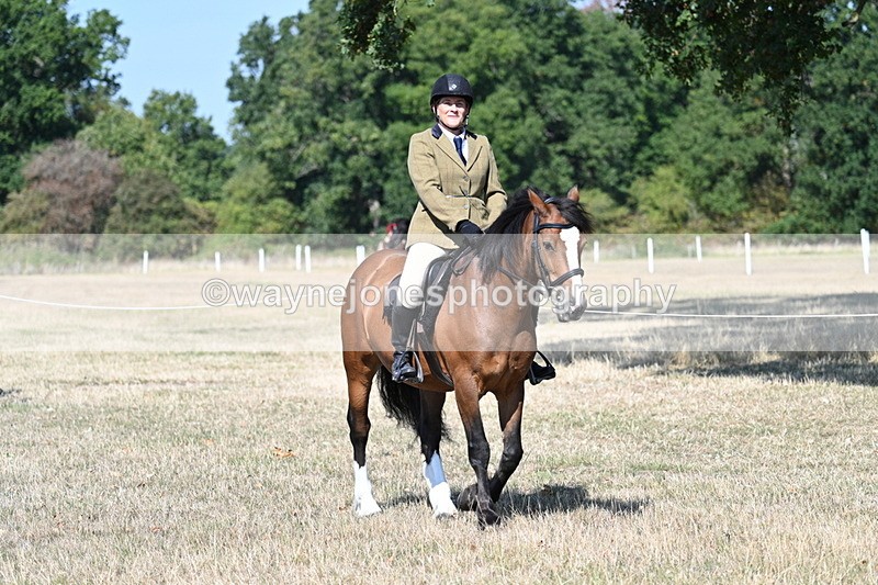 WJ7_3519 - Class 9 Mountain & Moorland Ridden