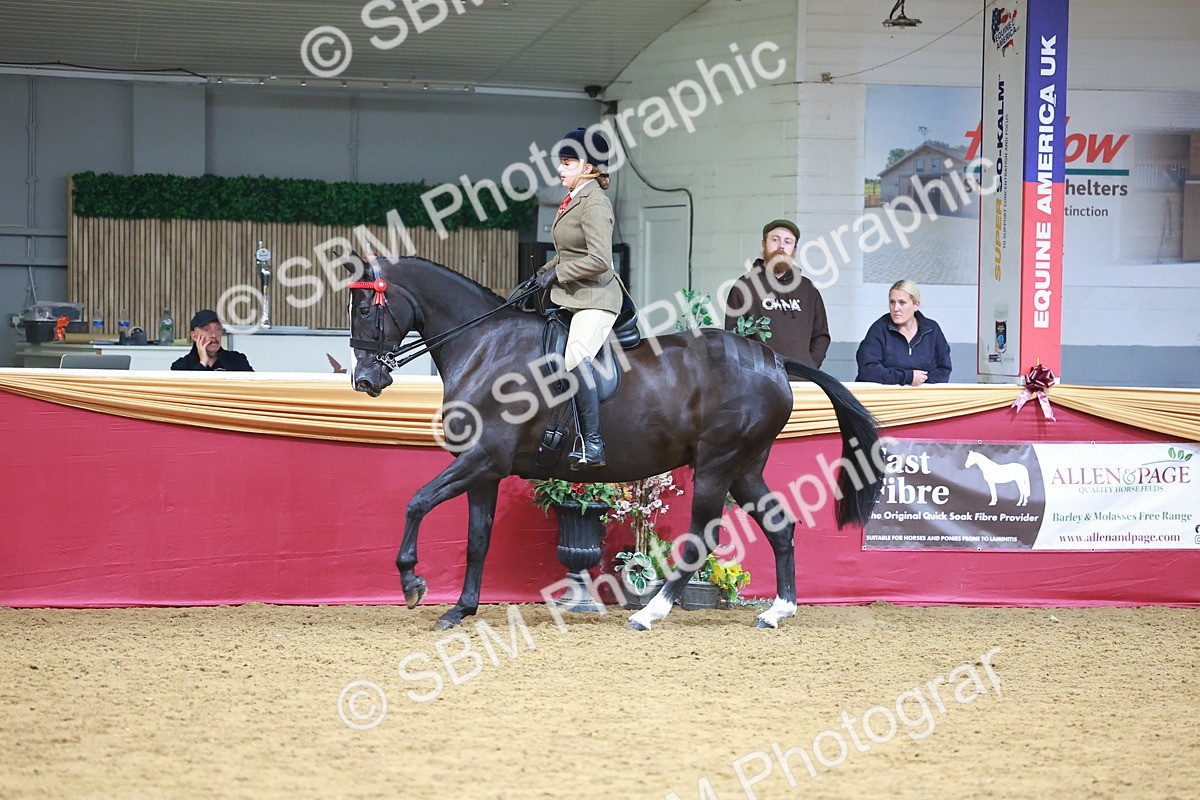 SBM_06291 - Class 12R - Ridden Pre-Vet