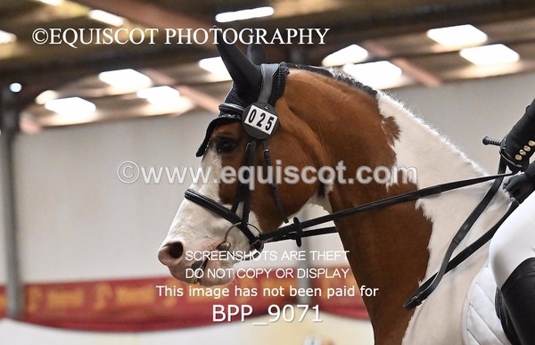 BPP_9071 - ELEM 4