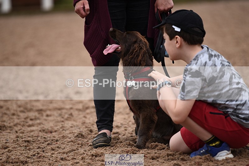 240518A-122430-01156 - Cls 4 Best Crossbred