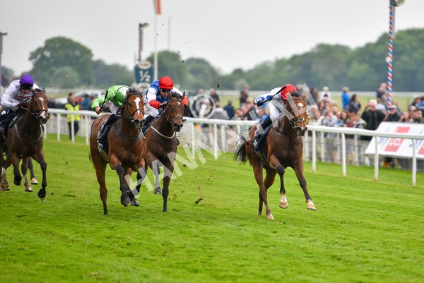 190523-Race 7-Kuwait City-1087 - Race 7 5.15pm Irish Champions Festival Handicap