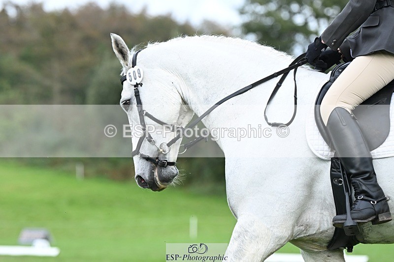 231020-155200-11295 - 509-WOODLANDS.SILVER.CLOUD-Karen.Cowling-DR