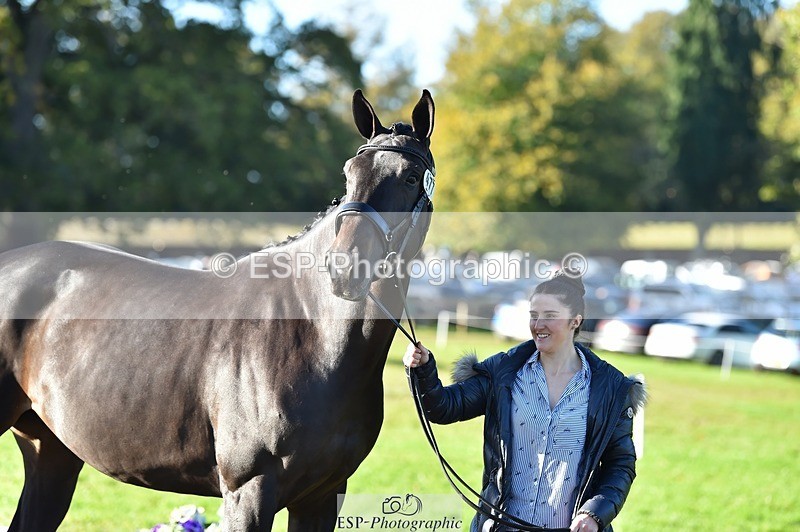 231022-103038-22532 - 477-NPS.KLASSEY-Elizabeth.Jones-TrotUp+SJ