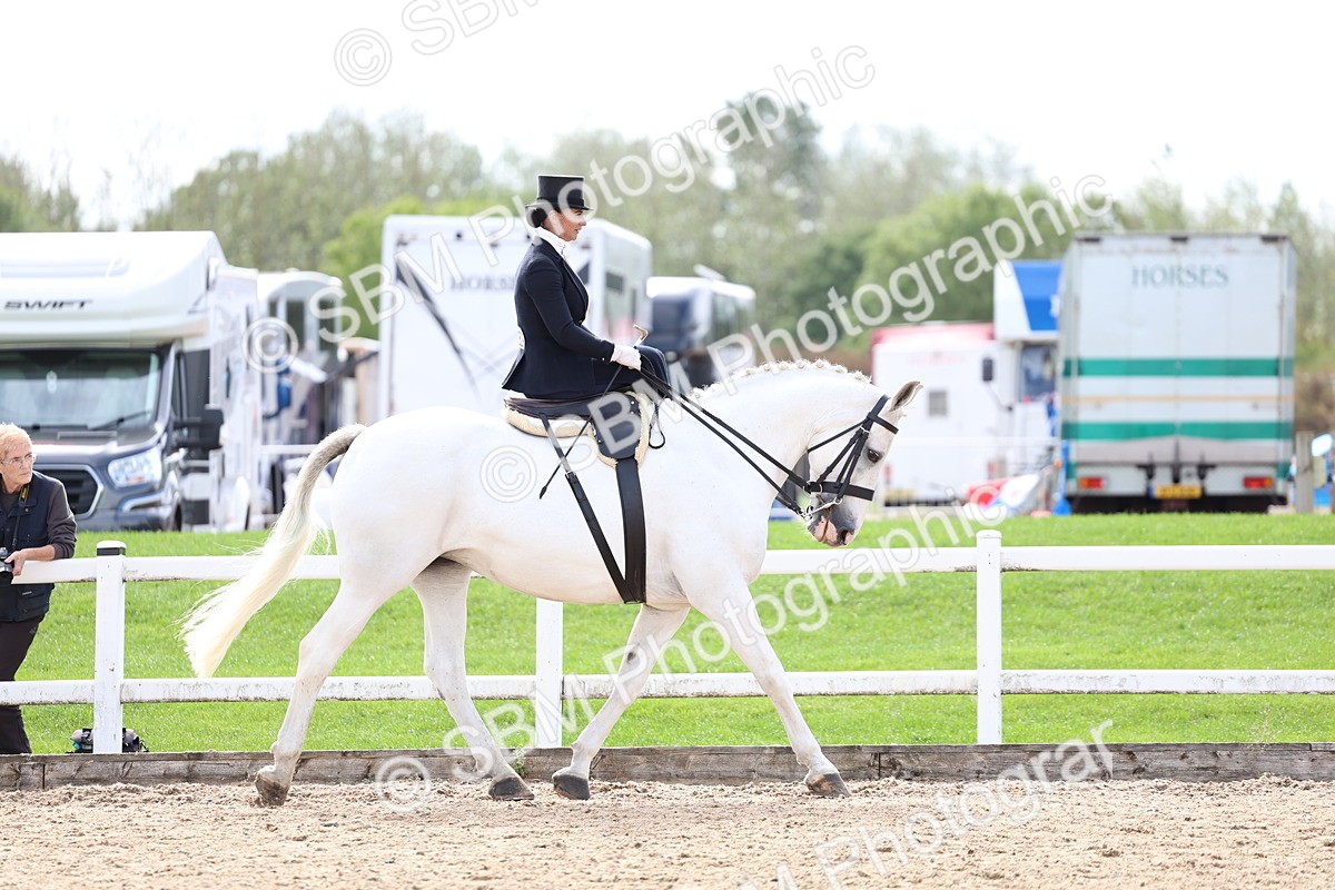 SBM_03234 - Class 22 - SSA Equitation (any age)