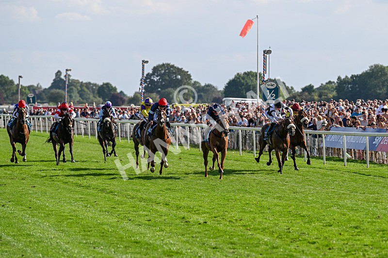 220826-Race 6-Sale Shark-1521 - Race 6 16.45pm Julia Graves Roses Stakes