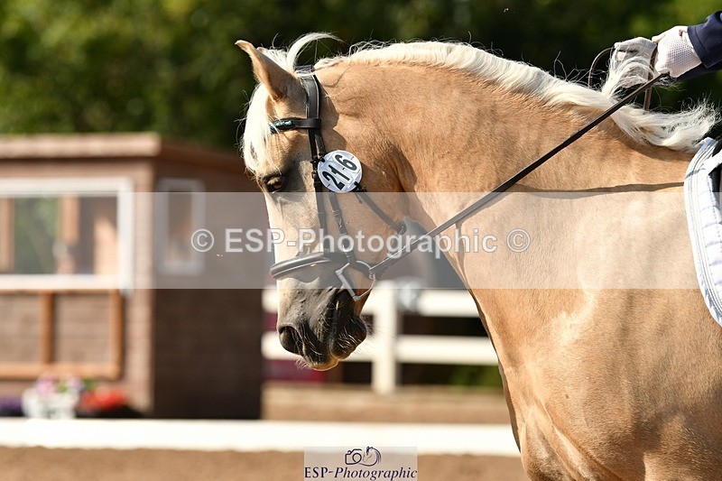 250817-161549-11531 - 216-Chloe.WaltonHaytors.Lord.of.the.Dance