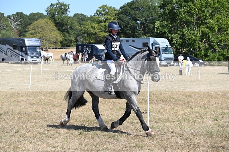 WJ6_9191 - Championship Classes 33-38